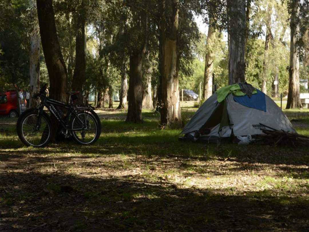 bicisCarpa